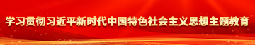 靠逼网站学习贯彻习近平新时代中国特色社会主义思想主题教育